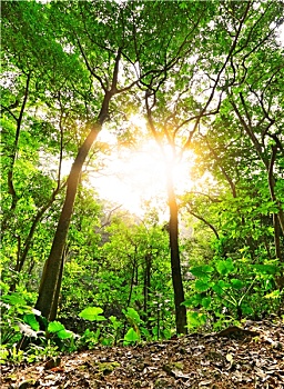 chơi số đề trên mạng