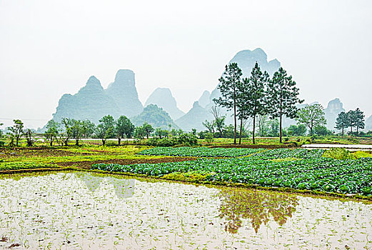 du doan xsmn minh ngoc