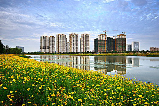 bach thu kep hom nay