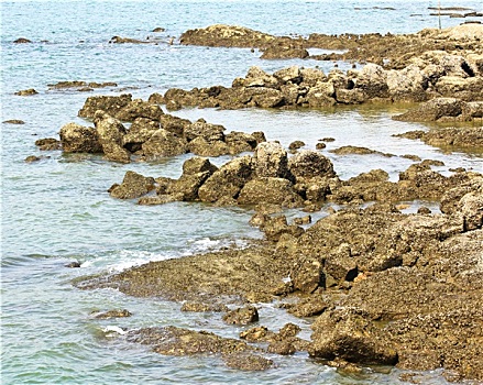lô bạch thủ khung 5 ngày