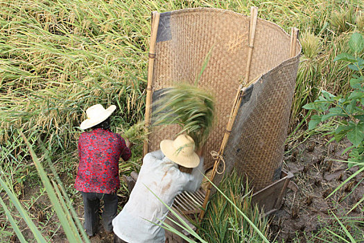 xổ số kiên giang hôm nay