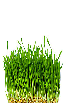 xổ số miền bac hôm nay