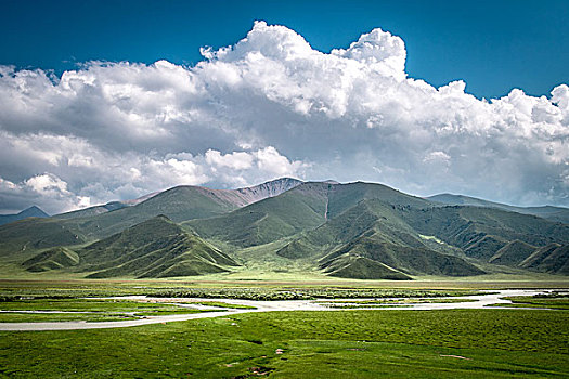soi cau de