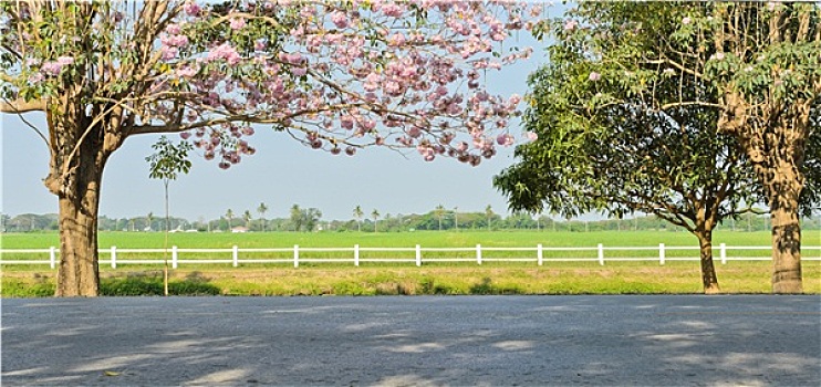 xsmb thu chu nhat