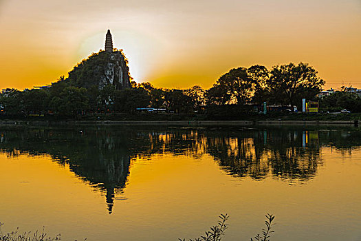 bạch thủ đề miền bắc
