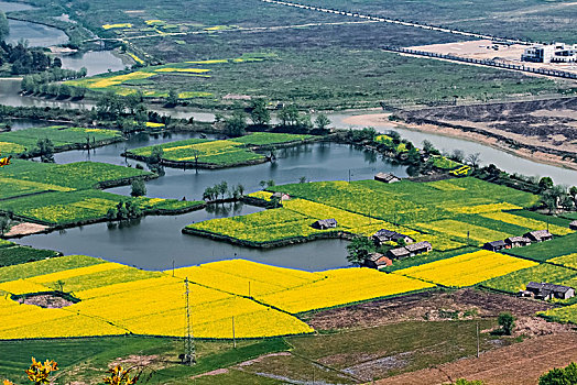 soi cầu 288