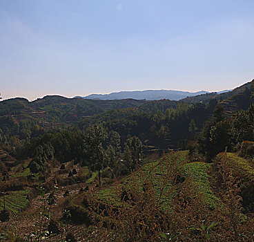tructiep xosomienbac