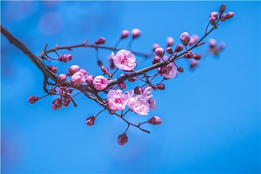 xổ số truyền thống